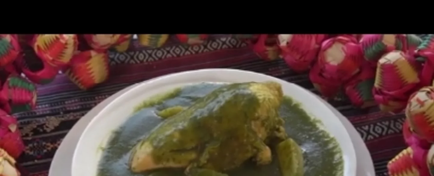 Aprende a preparar Jocón con «Cocina Chapina»
