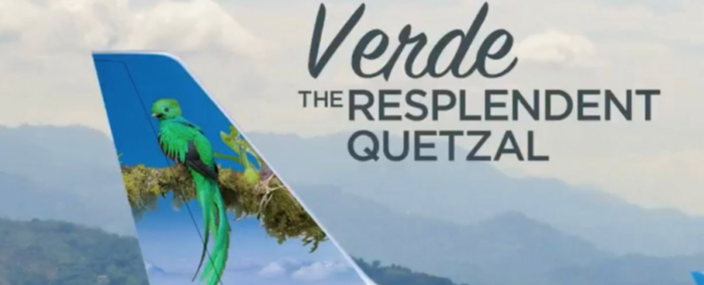 Aerolínea hace homenaje al quetzal y promociona vuelos a Guatemala