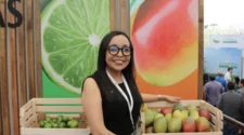 Estados Unidos es uno de los destinos de mayor exportación del mango chapín