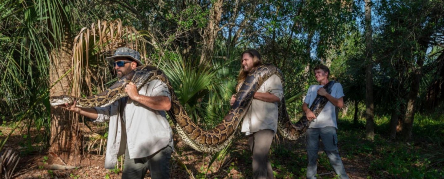 Capturan una pitón gigante de 18 pies en Florida