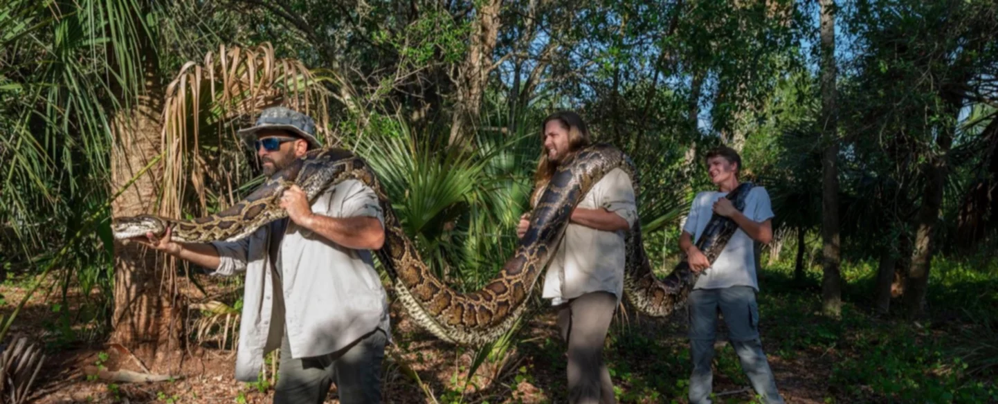 Capturan una pitón gigante de 18 pies en Florida