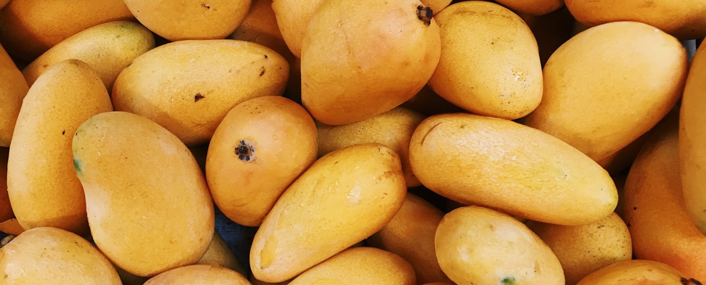 Mango chapín, un producto que se vende bien en EEUU ¡Que delicia!