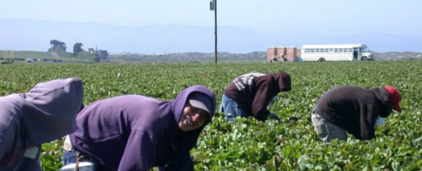  Conoce los derechos laborales de trabajadores migrantes en EE. UU.