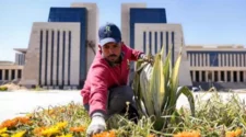 Conoce las ocupaciones con las que puedes trabajar en EE.UU con la visa de trabajador