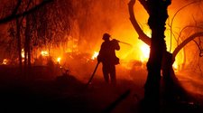 Cuatro personas han muertos y hay miles de afectados por incendios en California