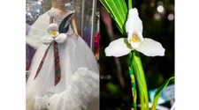Mira el vestido inspirado en la Monja Blanca que chapina hace viral